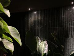 -涟LIAN·泰式按摩·MASSAGE·SPA(华强北店)
