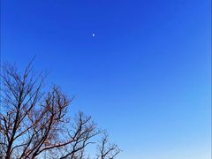 -长白山万达国际度假区