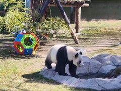 -上海野生动物园