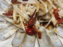 -乔家小院•非遗驴肉•青岛菜(滨河路店)