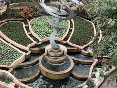 -南山植物园