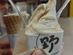 -野人先生现做冰淇淋(北京环宇荟店)