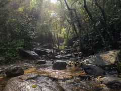 -梧桐山风景名胜区