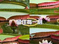 -国家植物园