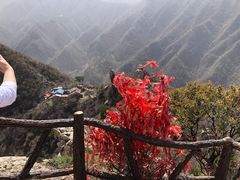 -秦岭终南山世界地质公园翠华山景区