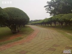 -万绿园