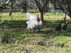 -昆山城市生态森林公园