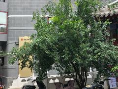 -北京市鼓楼中医医院(北院区)