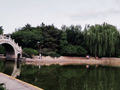 -团结湖公园