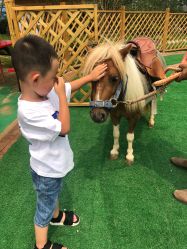 -萌宠亲子动物乐园(槐房万达店)