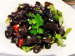 凉拌山木耳-润泽园椰子鸡(汇一城店)
