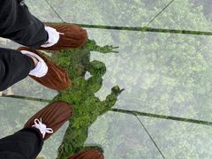 -客天下恐龙水晶玻璃桥