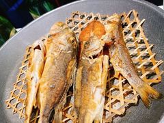 -五稻厨房粤西菜(新闻店)