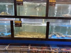 水产区-聚鑫阁江浙菜·非遗传承技艺(闵行交大店)