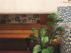 -Sirena海妖日咖夜酒