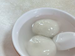 鲜肉汤圆-利达汤圆馄饨(川公路店)