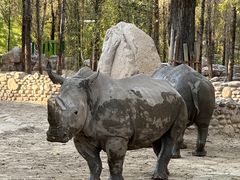 -北京野生动物园