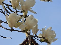 -西安市广仁寺