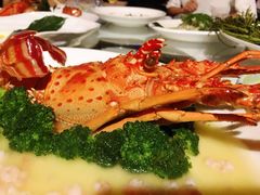 -梧桐餐厅(泉城路店)
