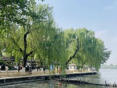 -济南大明湖景区