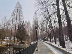 -白水寺森林公园