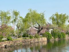 -无锡蠡湖国家湿地公园-蠡园