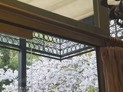 -玛格萝妮比萨屋(四平店)