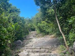 -狮子山郊野公园