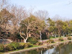 -上海海湾国家森林公园