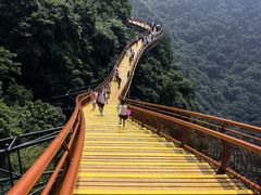 -少华山国家森林公园