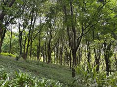 -重庆彩云湖湿地公园
