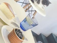 -22cafe