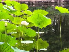 -满都海公园