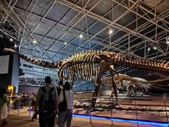 -世界恐龙谷景区