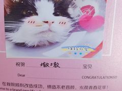 -美联众合动物医院·24h转诊中心