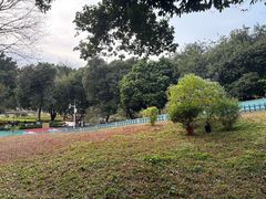 -天河儿童公园