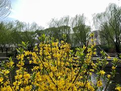 -元大都城垣遗址公园