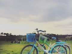 -三圣花乡旅游区