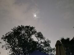 -浙江西子宾馆·牡丹厅