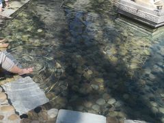 -古北烤梨
