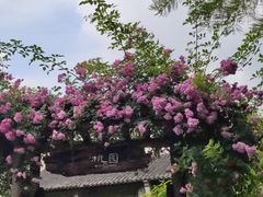 -乌村