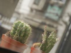 -NokNok Coffee(宽窄巷子店)
