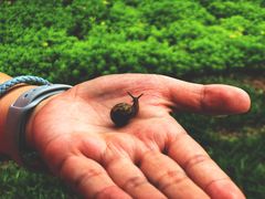 -武清南湖绿博园