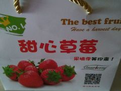 -甜心庄园·甜心草莓采摘园(西青中北店)