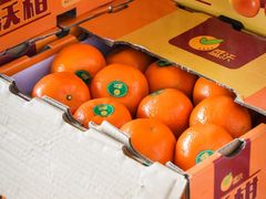 -西郊国际农产品交易中心