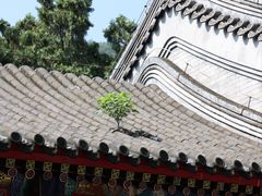 -香山公园