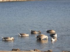 -长春市南湖公园