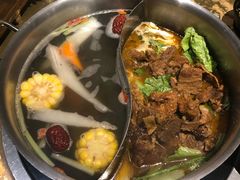 -手选潮汕鲜活牛肉火锅(二七广场店)