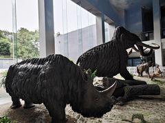 -中国第四纪冰川遗迹陈列馆