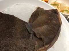 -川西坝子(老军营店)